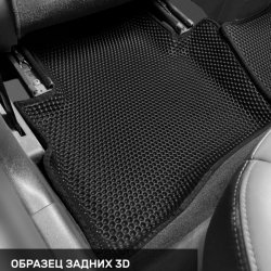 Левый пассажир